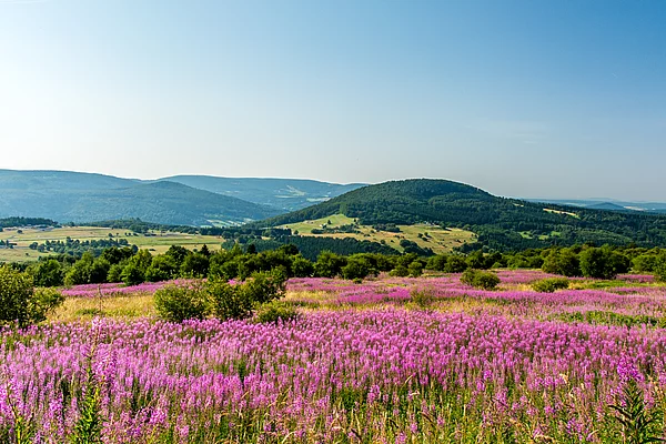 Die Rhön genießen!